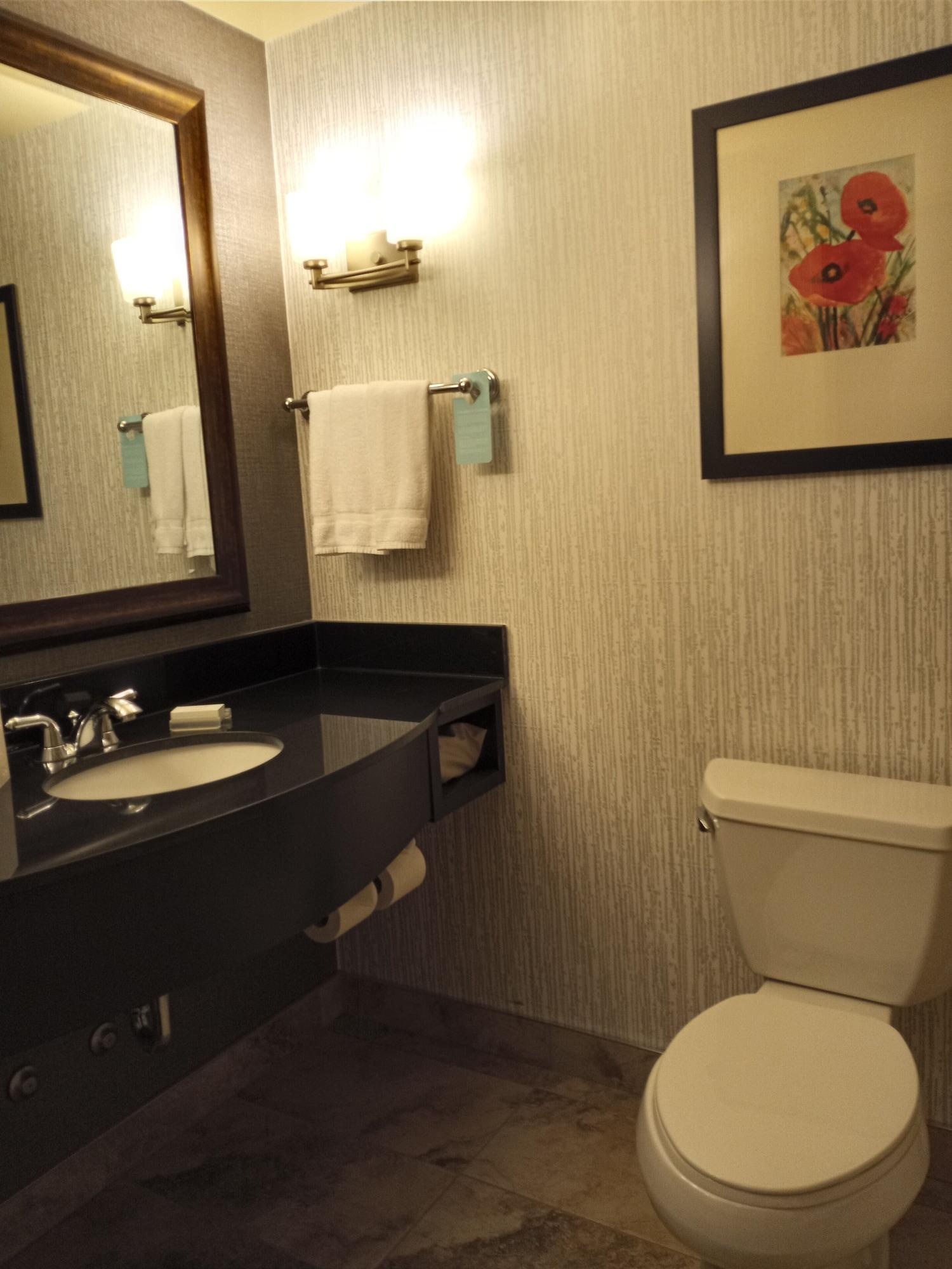 Hilton Garden Inn Calgary Airport Buitenkant foto